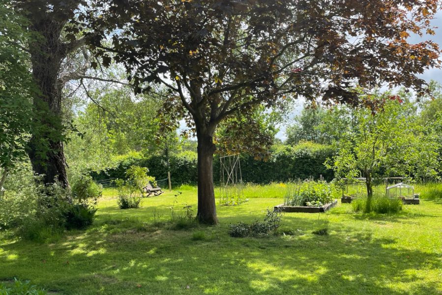 The Holt garden